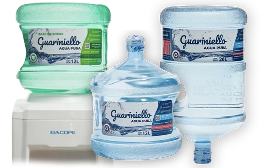 agua pura guariniello empresas oficinas buenos aires zona sur gba